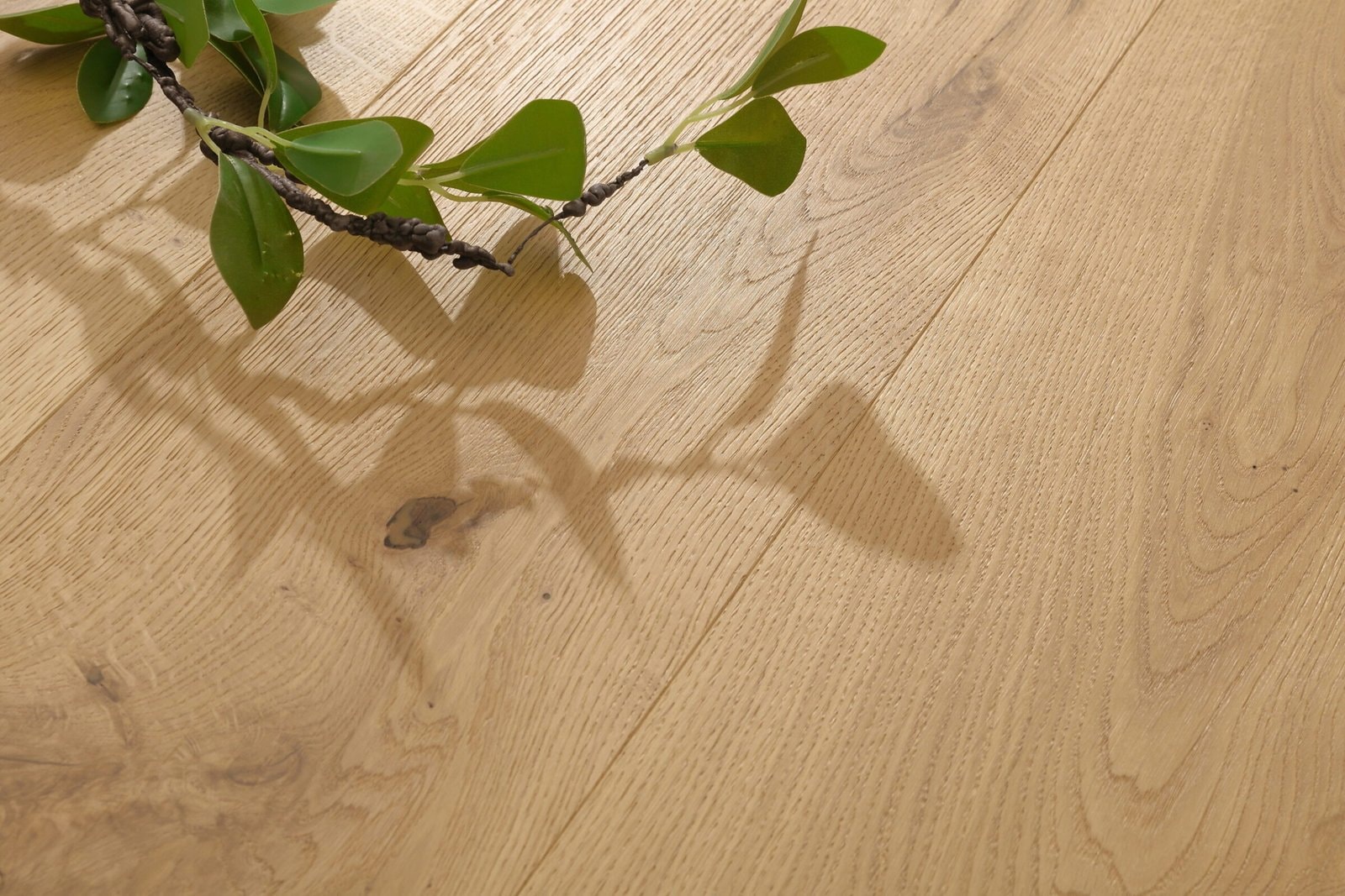 Oak Laura flooring